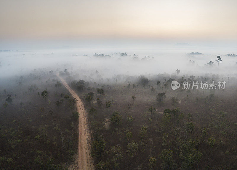 鸟瞰图(无人机拍摄)美丽的日出景观，森林，松树，山在一个雾蒙蒙的早晨在Thung Salaeng Luang国家公园，泰国。